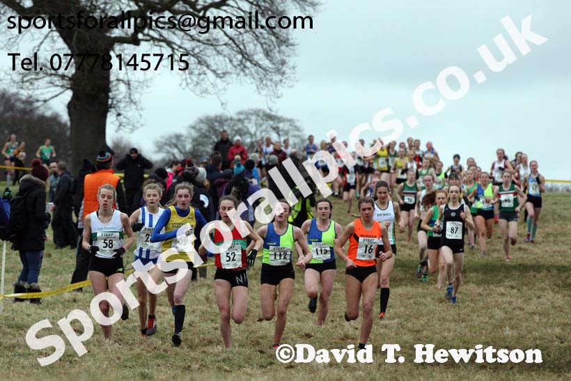 Womens under-17s 2018 Northern Cross Country Champs., Harewood House, Leeds. Photo: David T. Hewitson/Sports for All Pics